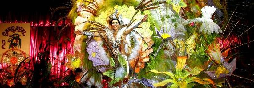 Les Carnavals approchent, penser a votre costume de f�te avec d�guisements-en-fete.fr et la boite � malice